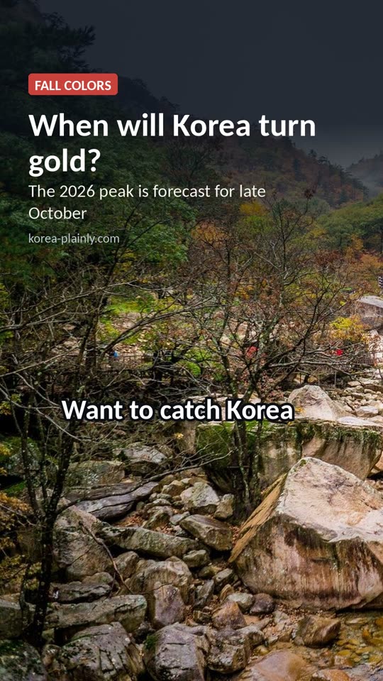 Korea Autumn Leaves 2026: When and Where to See Them