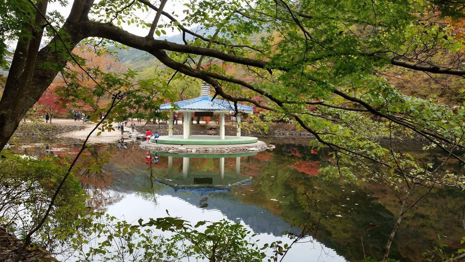 Autumn leaves in Korea