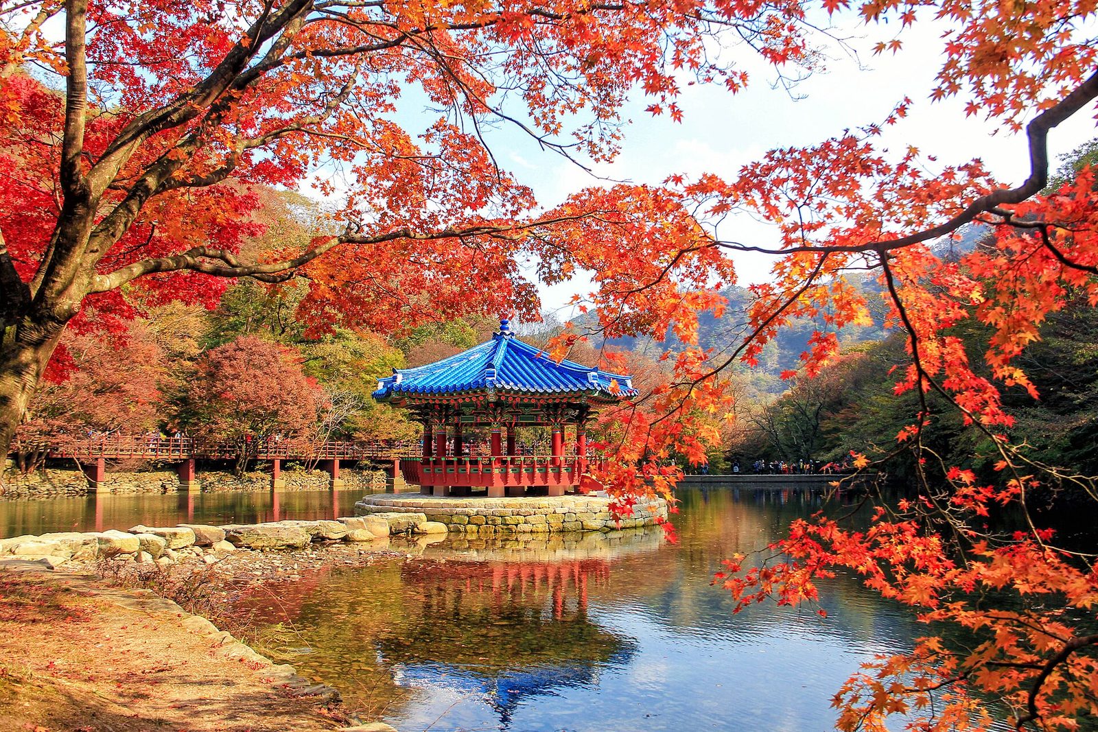 Autumn colours in Korea