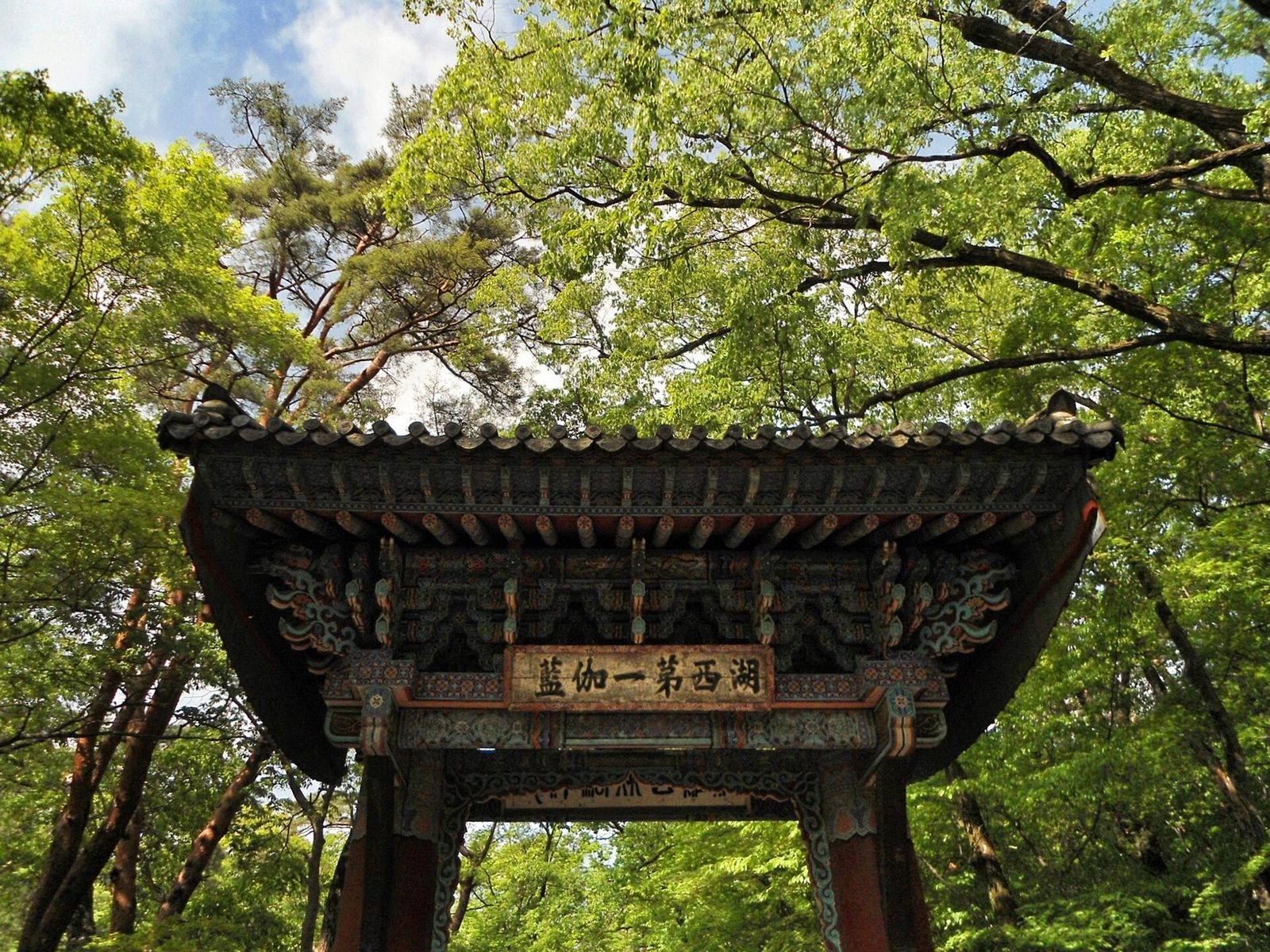Visitors taking part in a quiet meditation session at a Korean Buddhist temple