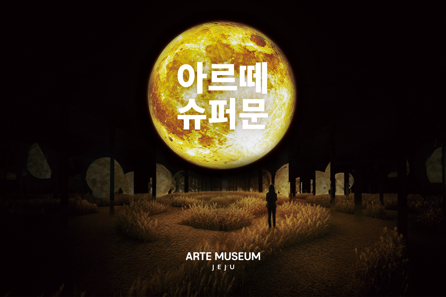 Arte Museum Jeju